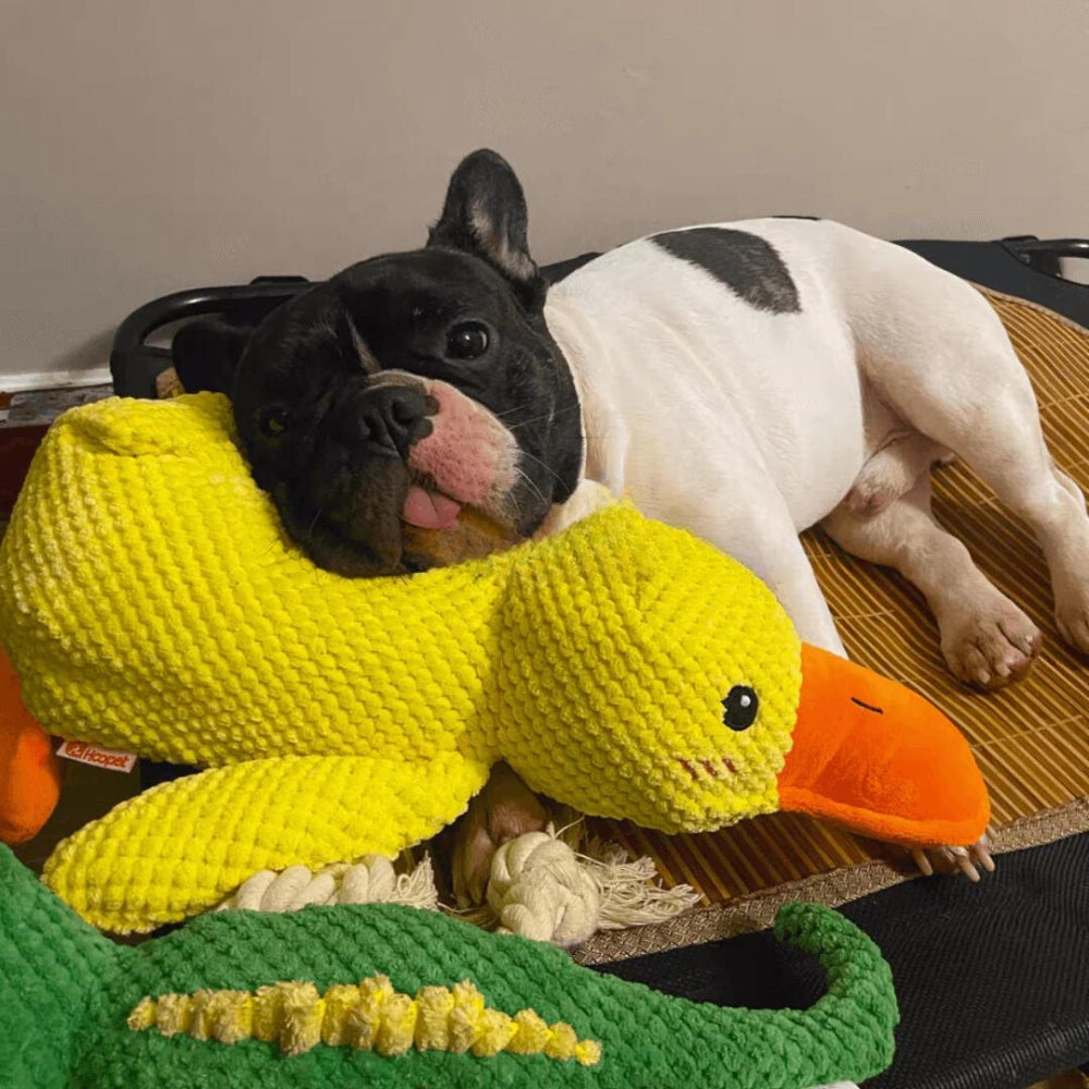 Il Pupazzo Indistruttibile per Cani
