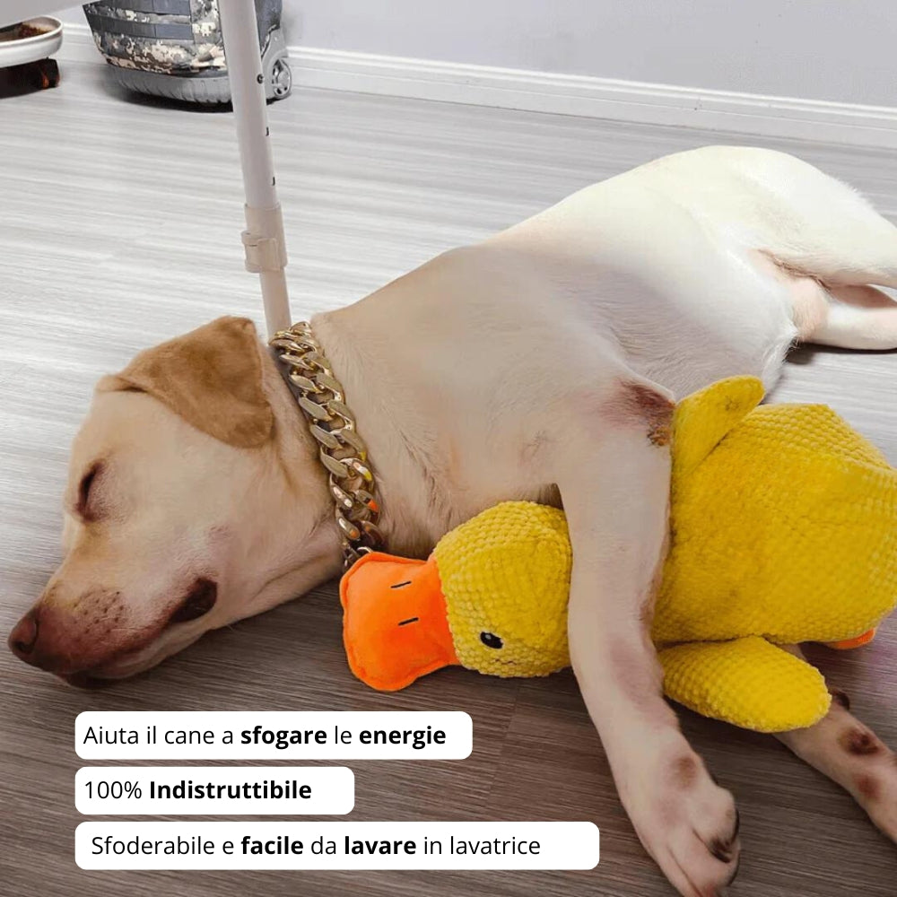 Il Pupazzo Indistruttibile per Cani