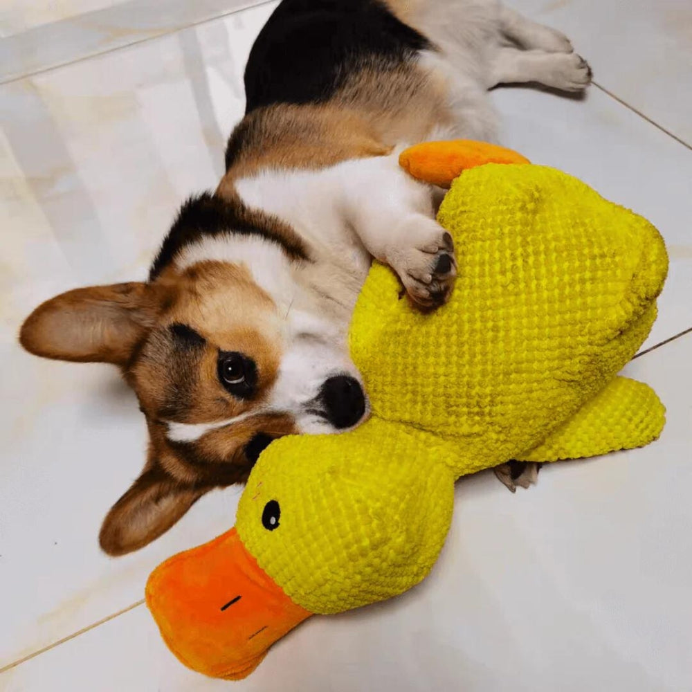 Il Pupazzo Indistruttibile per Cani