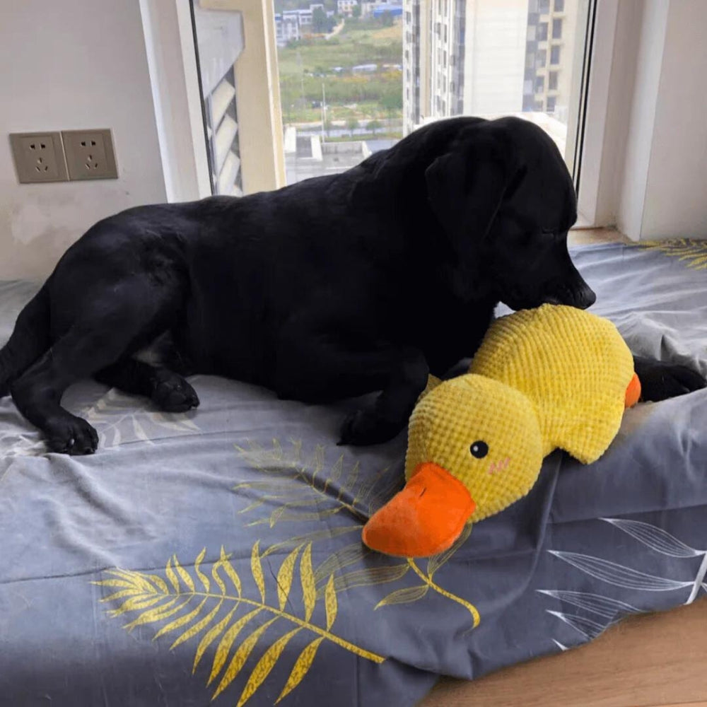 Il Pupazzo Indistruttibile per Cani